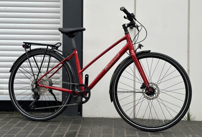 Купить велосипед Diamant Rubin Legere 28" M